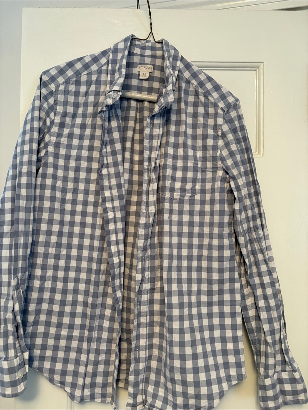 Crewcuts Light Blue and White Gingham Button-Down Shirt